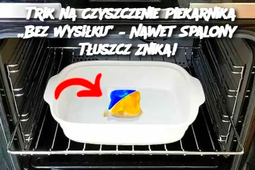 Trik na Czyszczenie Piekarnika „Bez Wysiłku” – Nawet Spalony Tłuszcz Znika!