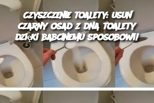 Czyszczenie toalety: usuń czarny osad z dna toalety dzięki babcinemu sposobowi!