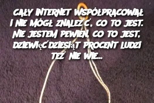 Cały internet współpracował i nie mógł znaleźć, co to jest. Nie jestem pewien, co to jest, dziewięćdziesiąt procent ludzi też nie wie…