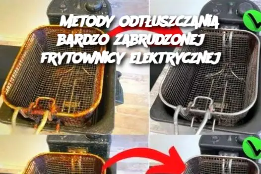 6 Metody odtłuszczania bardzo zabrudzonej frytownicy elektrycznej