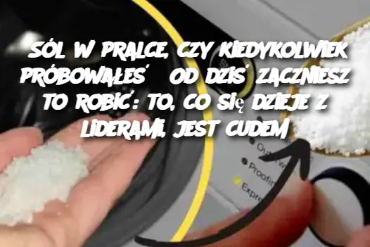 Sól w pralce, czy kiedykolwiek próbowałeś? Od dziś zaczniesz to robić: to, co się dzieje z liderami, jest cudem