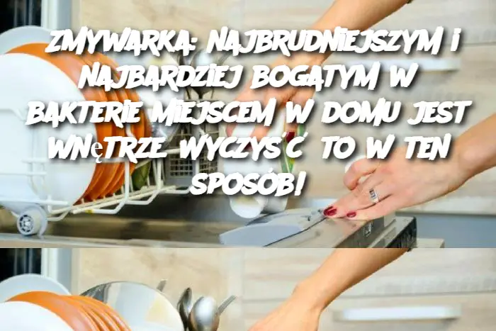 Zmywarka: najbrudniejszym i najbardziej bogatym w bakterie miejscem w domu jest wnętrze. Wyczyść to w ten sposób!