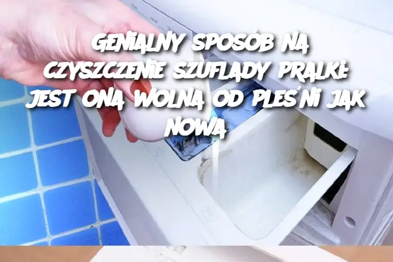 Genialny sposób na czyszczenie szuflady pralki: jest ona wolna od pleśni jak nowa