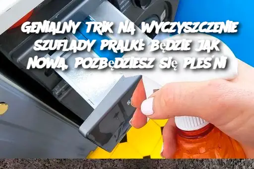 Genialny trik na wyczyszczenie szuflady pralki: będzie jak nowa, pozbędziesz się pleśni