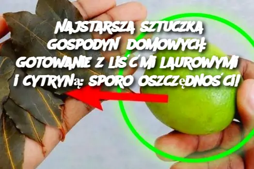 Najstarsza sztuczka gospodyń domowych: gotowanie z liśćmi laurowymi i cytryną: sporo oszczędności!