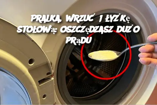 Pralka, wrzuć 1 łyżkę stołową: oszczędzasz dużo prądu