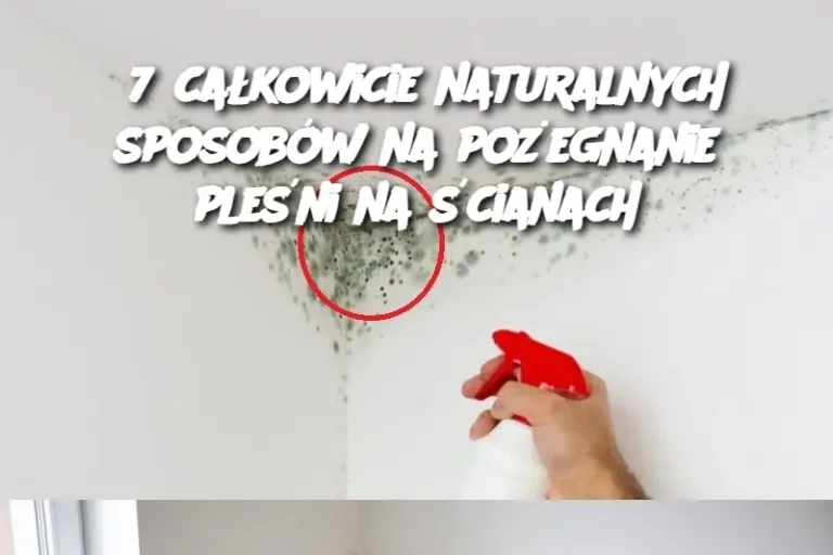 7 całkowicie naturalnych sposobów na pożegnanie pleśni na ścianach