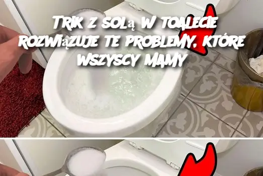 Trik z solą w toalecie rozwiązuje te problemy, które wszyscy mamy