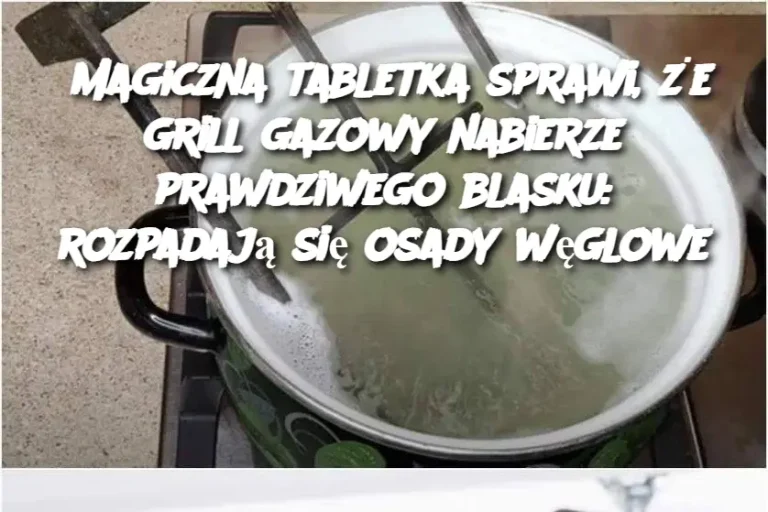 Magiczna tabletka sprawi, że grill gazowy nabierze prawdziwego blasku: rozpadają się osady węglowe