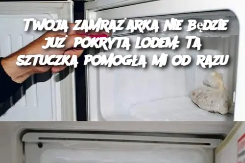 Twoja zamrażarka nie będzie już pokryta lodem: Ta sztuczka pomogła mi od razu