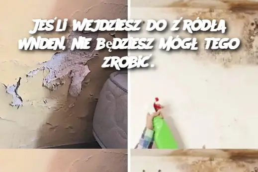 Jeśli wejdziesz do źródła Wnden, nie będziesz mógł tego zrobić.