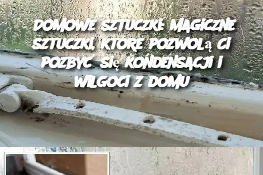 Domowe sztuczki: magiczne sztuczki, które pozwolą Ci pozbyć się kondensacji i wilgoci z domu