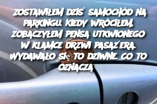 Zostawiłem dziś samochód na parkingu. Kiedy wróciłem, zobaczyłem pensa utkwionego w klamce drzwi pasażera. Wydawało się to dziwne. Co to oznacza?