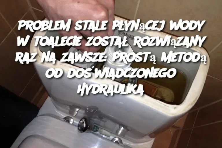 Problem stale płynącej wody w toalecie został rozwiązany raz na zawsze: prostą metodą od doświadczonego hydraulika