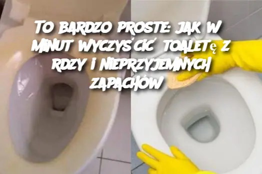 To bardzo proste: jak w 5 minut wyczyścić toaletę z rdzy i nieprzyjemnych zapachów?