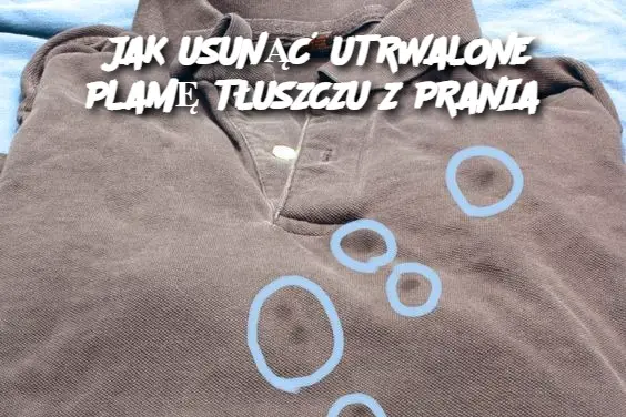 JAK USUNĄĆ UTRWALONE PLAMĘ TŁUSZCZU Z PRANIA