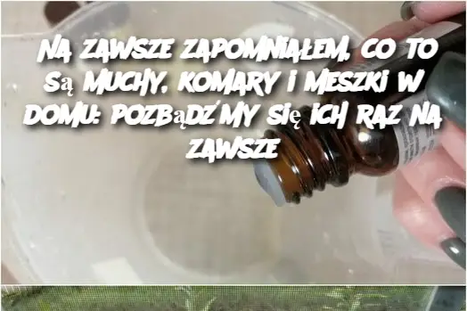 Na zawsze zapomniałem, co to są muchy, komary i meszki w domu: pozbądźmy się ich raz na zawsze