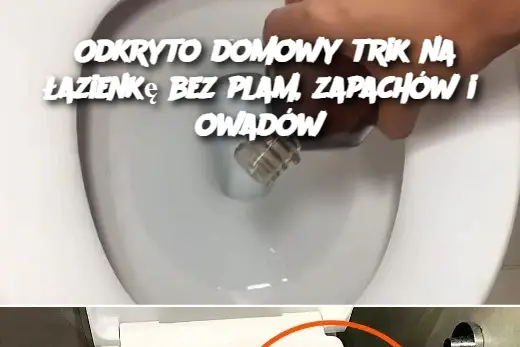 Odkryto domowy trik na łazienkę bez plam, zapachów i owadów