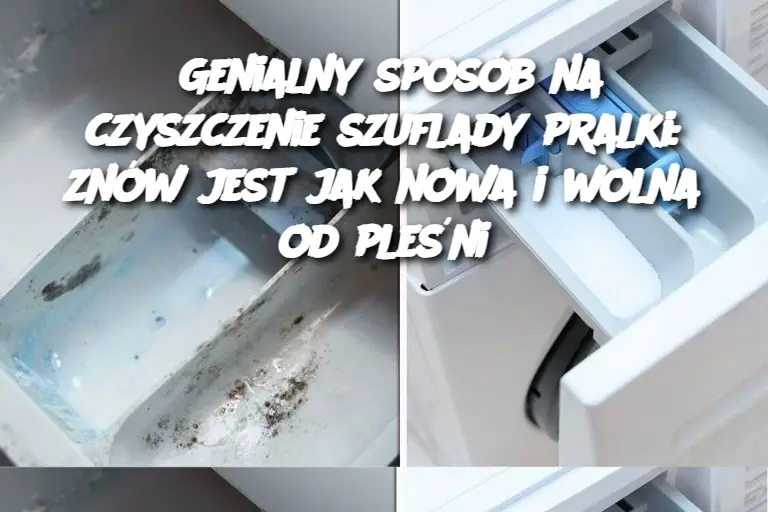 Genialny sposób na czyszczenie szuflady pralki: znów jest jak nowa i wolna od pleśni