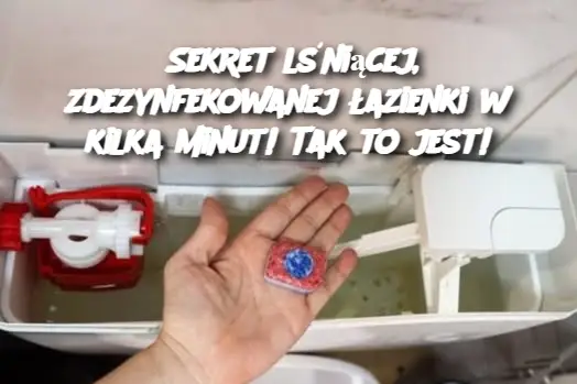 Sekret lśniącej, zdezynfekowanej łazienki w kilka minut! Tak to jest!