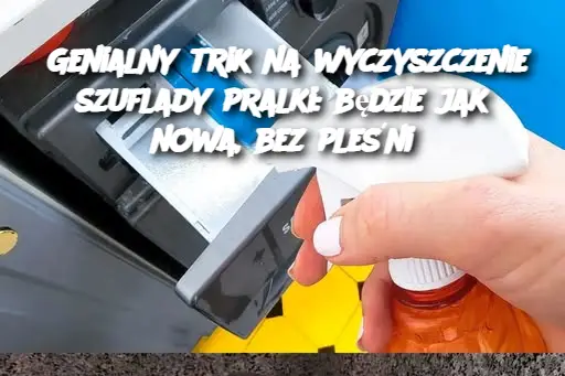 Genialny trik na wyczyszczenie szuflady pralki: będzie jak nowa, bez pleśni