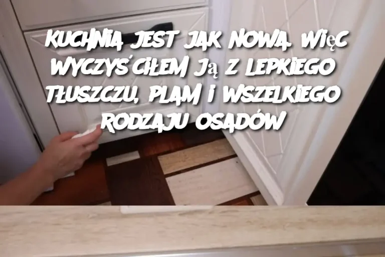 Kuchnia jest jak nowa. Więc wyczyściłem ją z lepkiego tłuszczu, plam i wszelkiego rodzaju osadów