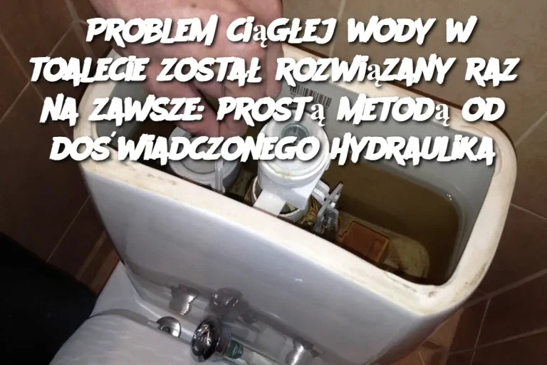 Problem ciągłej wody w toalecie został rozwiązany raz na zawsze: prostą metodą od doświadczonego hydraulika