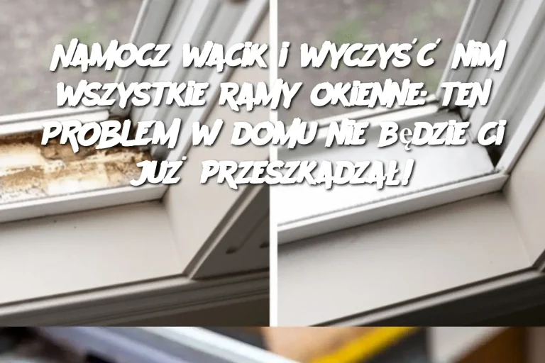 Namocz wacik i wyczyść nim wszystkie ramy okienne: ten PROBLEM w domu nie będzie Ci już przeszkadzał!