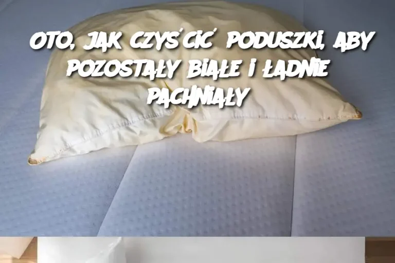 Oto, jak czyścić poduszki, aby pozostały białe i ładnie pachniały