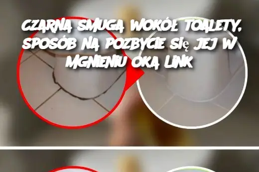 Czarna smuga wokół toalety, sposób na pozbycie się jej w mgnieniu oka Link