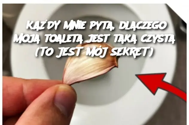 KAŻDY mnie pyta, dlaczego moja toaleta jest taka czysta (TO JEST MÓJ SEKRET)