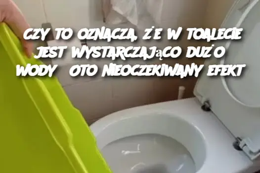 Czy to oznacza, że ​​w toalecie jest wystarczająco dużo wody? Oto nieoczekiwany efekt