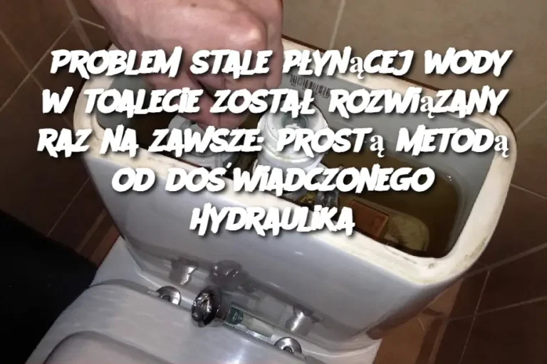 Problem stale płynącej wody w toalecie został rozwiązany raz na zawsze: prostą metodą od doświadczonego hydraulika