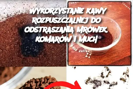 Wykorzystanie kawy rozpuszczalnej do odstraszania mrówek, komarów i much