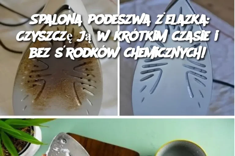 Spalona podeszwa żelazka: Czyszczę ją w krótkim czasie i bez środków chemicznych!