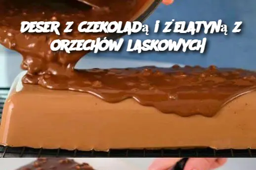 Deser z czekoladą i żelatyną z orzechów laskowych