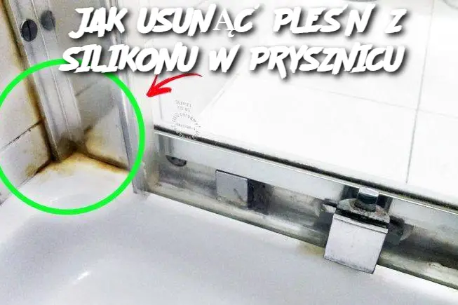 JAK USUNĄĆ PLEŚŃ Z SILIKONU W PRYSZNICU