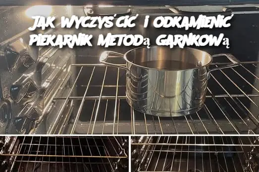 Jak wyczyścić i odkamienić piekarnik metodą garnkową