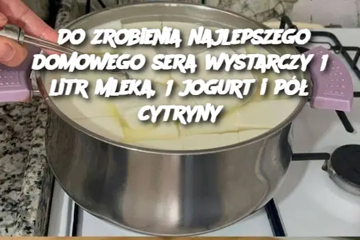 Do zrobienia najlepszego domowego sera wystarczy 1 litr mleka, 1 jogurt i pół cytryny