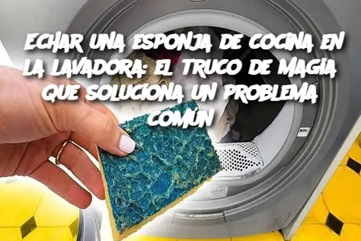 Echar una esponja de cocina en la lavadora: el truco de magia que soluciona un problema común