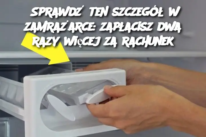 Sprawdź ten szczegół w zamrażarce: zapłacisz dwa razy więcej za rachunek