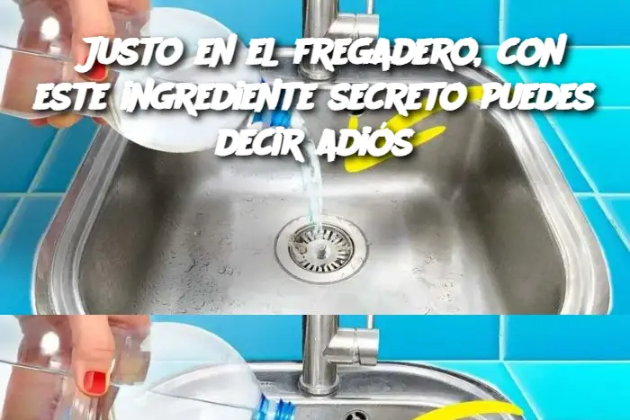 Justo en el fregadero, con este ingrediente secreto puedes decir adiós