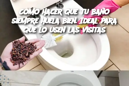 Cómo hacer que tu baño siempre huela bien. Ideal para que lo usen las visitas