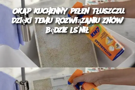 Okap kuchenny pełen tłuszczu. Dzięki temu rozwiązaniu znów będzie lśnił