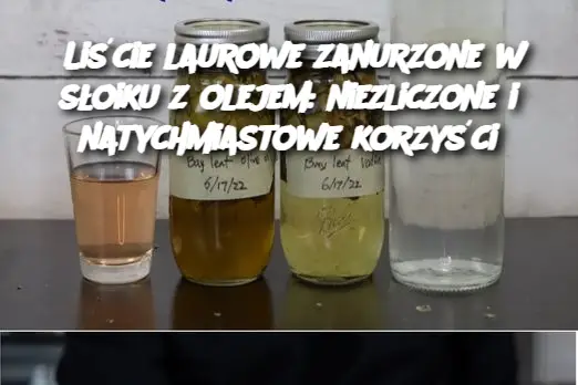 Liście laurowe zanurzone w słoiku z olejem: niezliczone i natychmiastowe korzyści