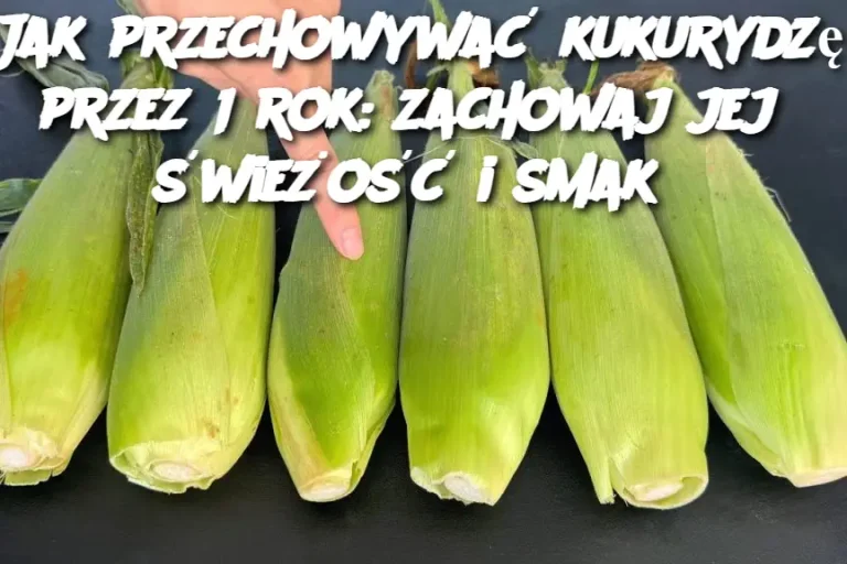 Jak przechowywać kukurydzę przez 1 rok: zachowaj jej świeżość i smak