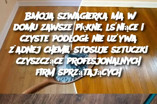 Moja szwagierka ma w domu zawsze piękne, lśniące i czyste podłogi: nie używa żadnej chemii, stosuje sztuczki czyszczące profesjonalnych firm sprzątających