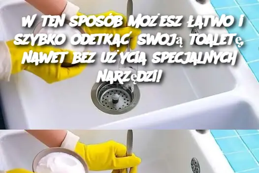 W ten sposób możesz łatwo i szybko odetkać swoją toaletę, nawet bez użycia specjalnych narzędzi!