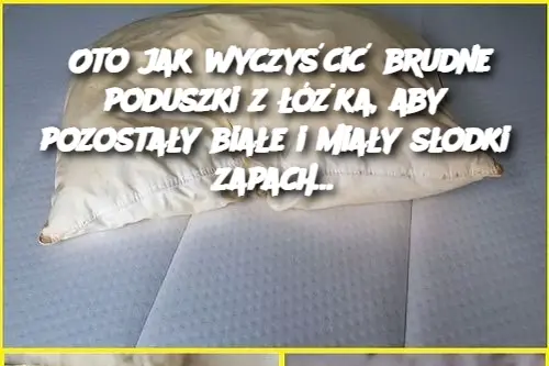 Oto jak wyczyścić brudne poduszki z łóżka, aby pozostały białe i miały słodki zapach…