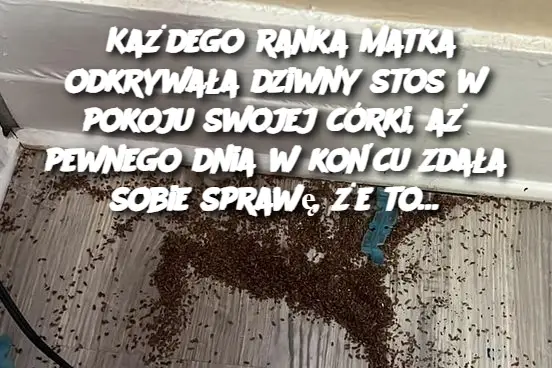 Każdego ranka matka odkrywała dziwny stos w pokoju swojej córki, aż pewnego dnia w końcu zdała sobie sprawę, że to…